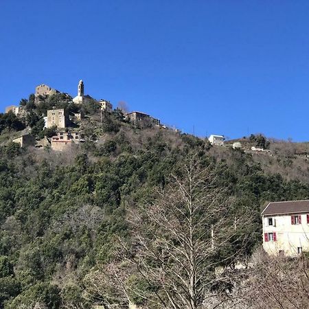 Camping L'Agrottu Au Coeur De La Corse Santa-Lucia-di-Mercurio Eksteriør bilde