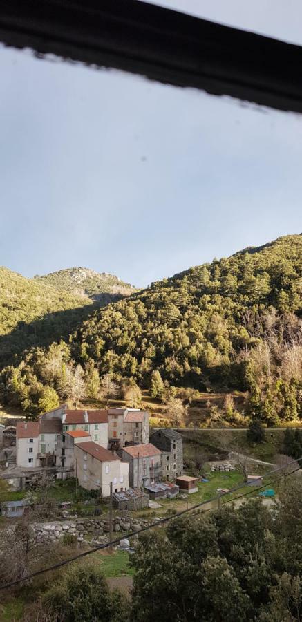 Camping L'Agrottu Au Coeur De La Corse Santa-Lucia-di-Mercurio Eksteriør bilde