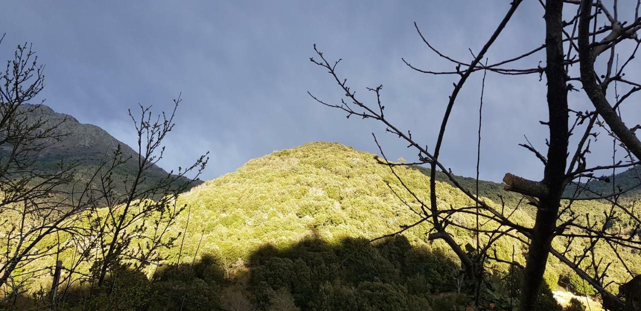 Camping L'Agrottu Au Coeur De La Corse Santa-Lucia-di-Mercurio Eksteriør bilde