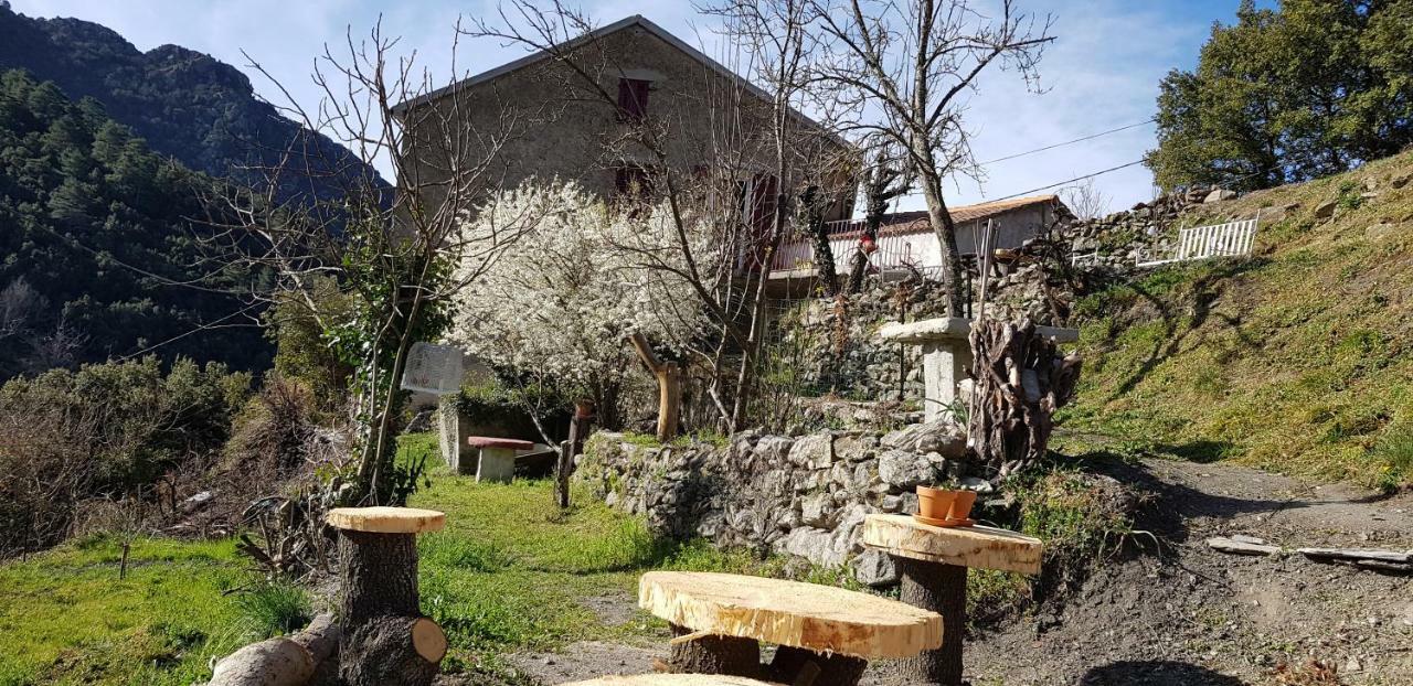 Camping L'Agrottu Au Coeur De La Corse Santa-Lucia-di-Mercurio Eksteriør bilde