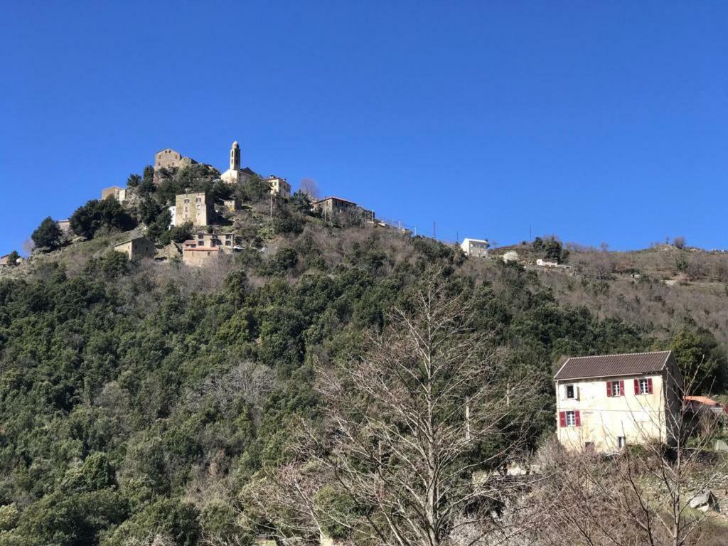 Camping L'Agrottu Au Coeur De La Corse Santa-Lucia-di-Mercurio Eksteriør bilde