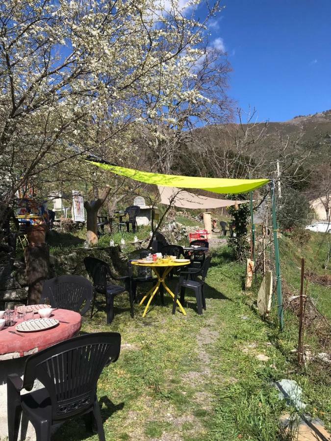 Camping L'Agrottu Au Coeur De La Corse Santa-Lucia-di-Mercurio Eksteriør bilde