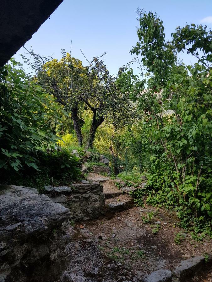 Camping L'Agrottu Au Coeur De La Corse Santa-Lucia-di-Mercurio Eksteriør bilde