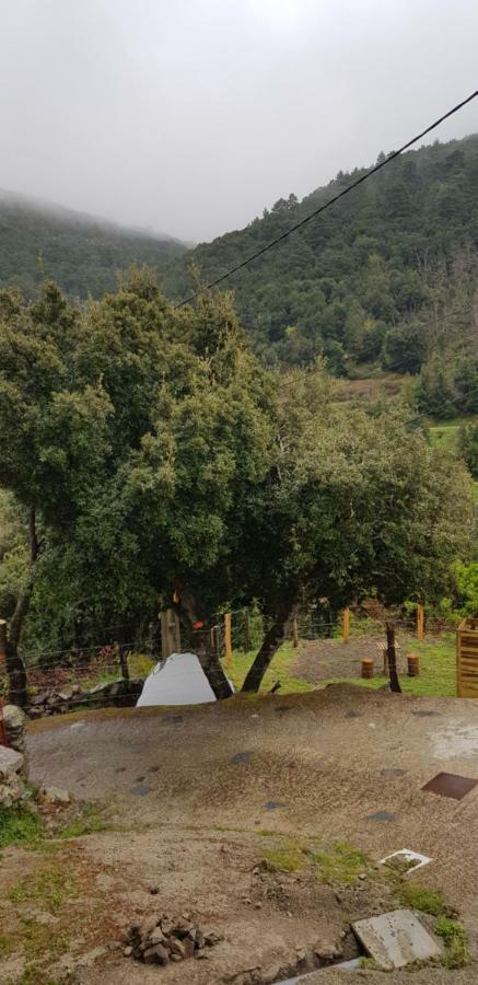 Camping L'Agrottu Au Coeur De La Corse Santa-Lucia-di-Mercurio Eksteriør bilde