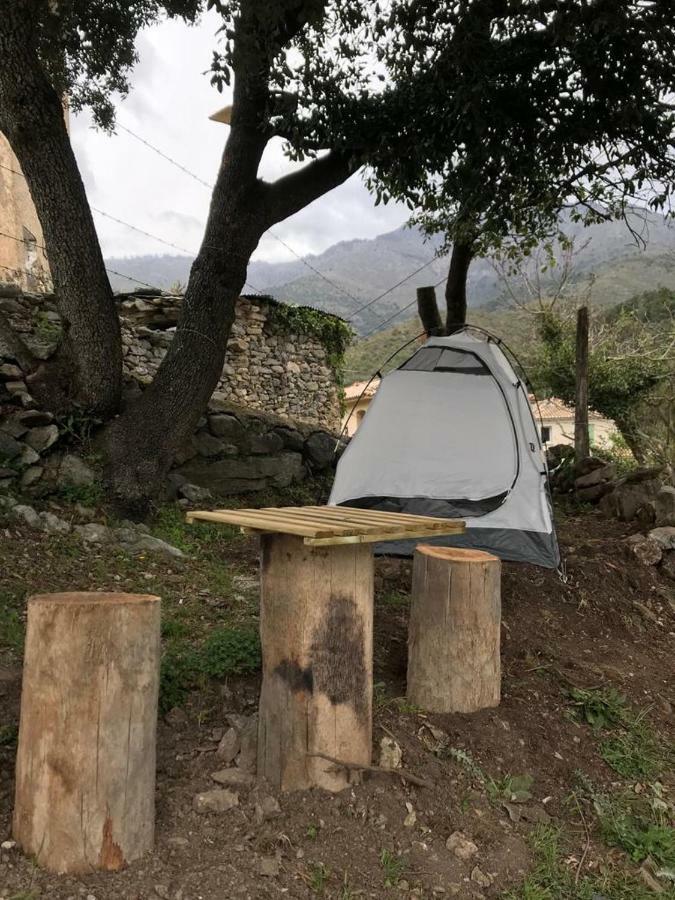 Camping L'Agrottu Au Coeur De La Corse Santa-Lucia-di-Mercurio Eksteriør bilde