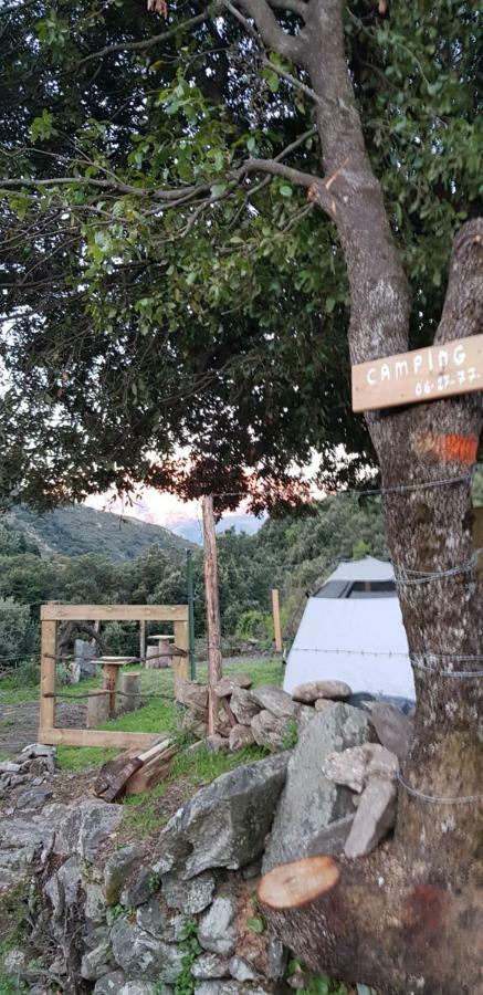 Camping L'Agrottu Au Coeur De La Corse Santa-Lucia-di-Mercurio Eksteriør bilde