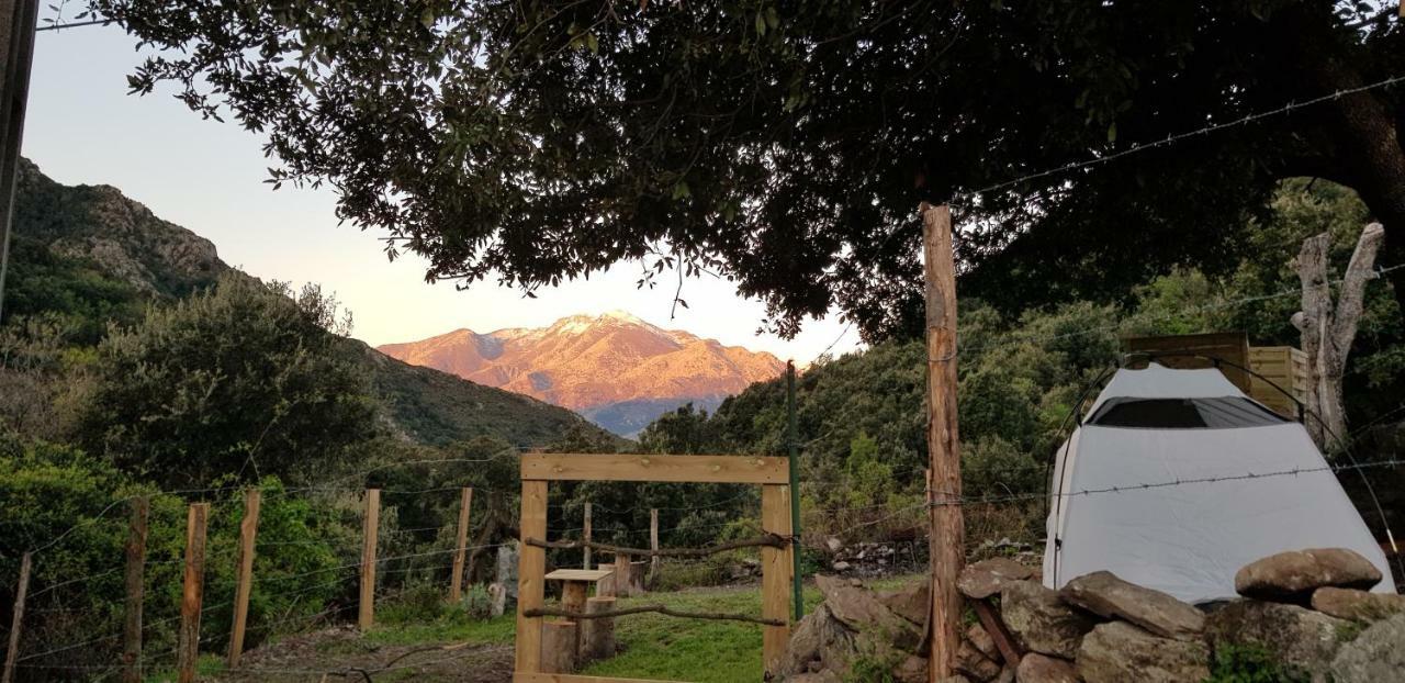 Camping L'Agrottu Au Coeur De La Corse Santa-Lucia-di-Mercurio Eksteriør bilde