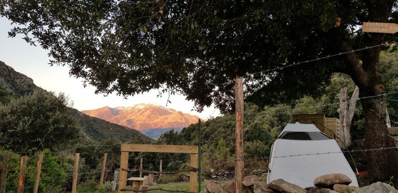 Camping L'Agrottu Au Coeur De La Corse Santa-Lucia-di-Mercurio Eksteriør bilde