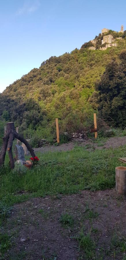 Camping L'Agrottu Au Coeur De La Corse Santa-Lucia-di-Mercurio Eksteriør bilde